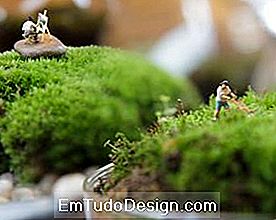 Twig terrarium