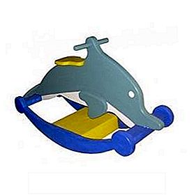 Fantastik Toys sõidab delfiiniga