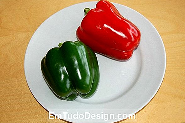 Den capsicum annuum eller prydende chili peber