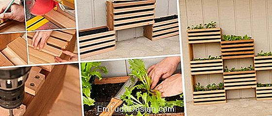 Tips til at lave en DIY vertikal have