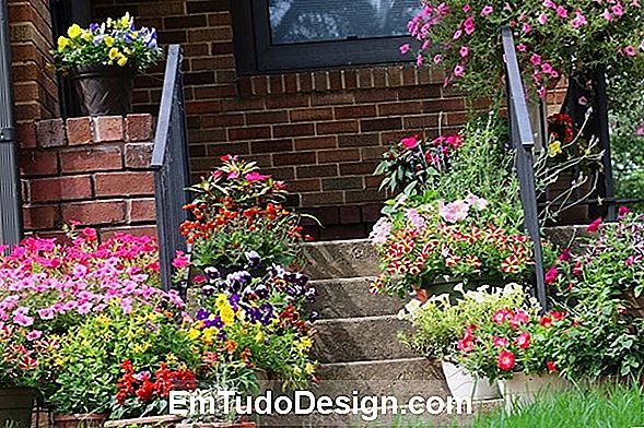 Gartenblumen zwischen Frühling und Sommer