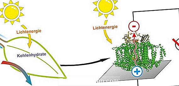 Sonnenkollektor-natürliche Zirkulation