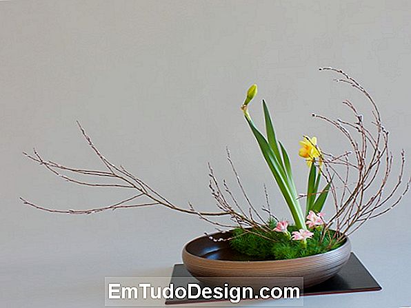 Was ist die Kunst von Ikebana?