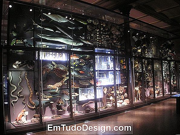 Museum der biologischen Vielfalt in Portici
