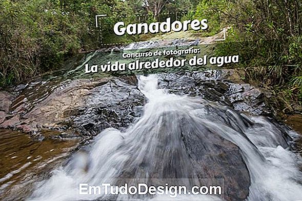 Alrededor del agua