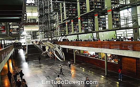 Biblioteca Jose Vasconcelos