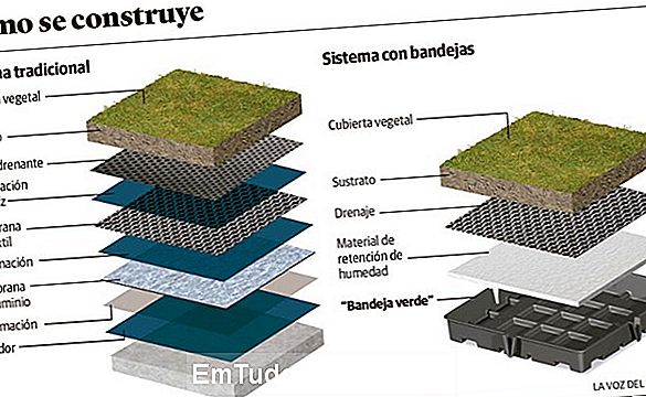 Tipos para cubiertas verdes