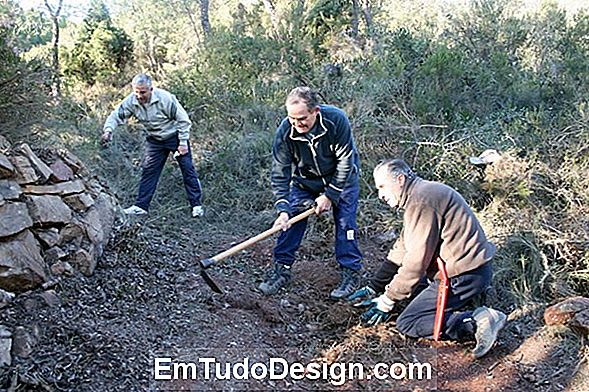 Campanas que desinfectan y acondicionan el aire, muchos modelos funcionales y de diseño