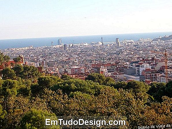 Revestimientos inspirados en el parque Güell