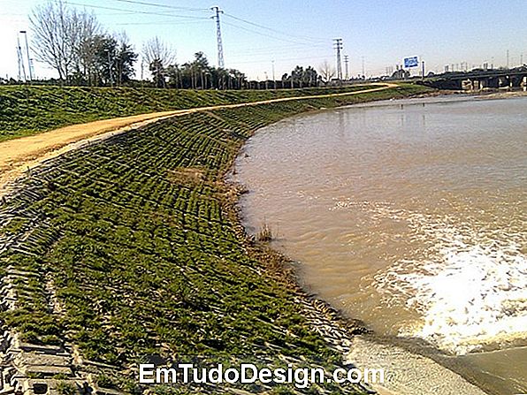 Esteras técnicas: detener la suciedad y el polvo