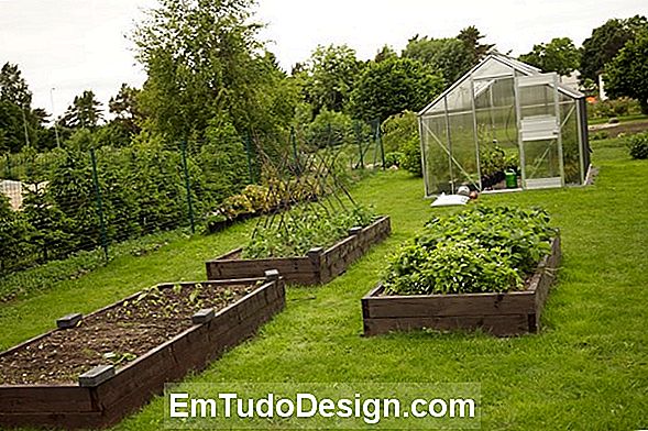 Köögiviljaaed istutataval terrassil ja köögiviljadel