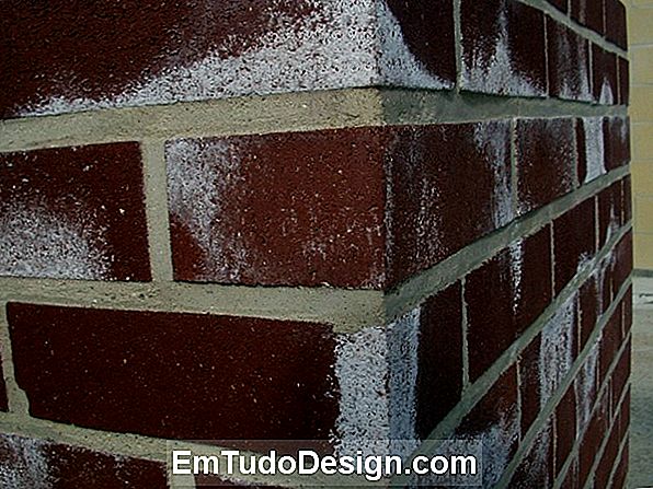 Efflorescence sur les murs de briques