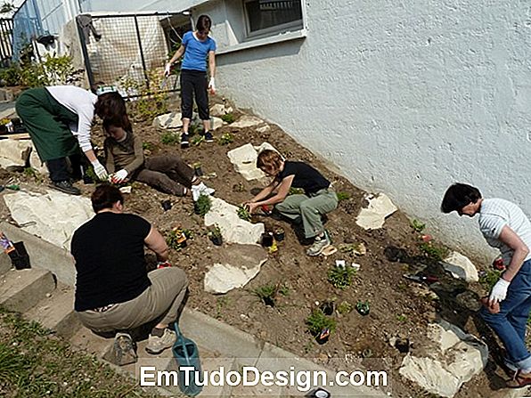 Ateliers de jardinage pour les enfants