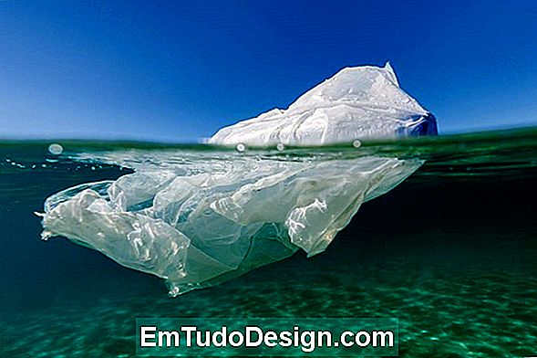 Journée internationale contre les sacs plastiques