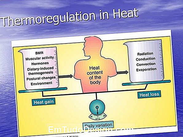 Thermoregulation