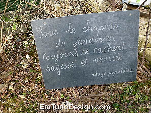 Travaux en citation