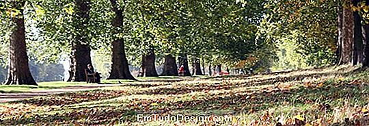 Een Hyde Park in Londen