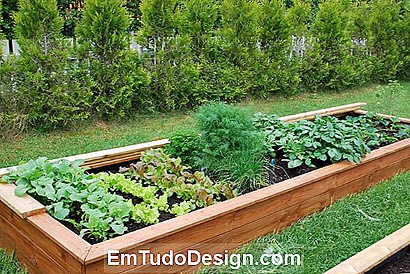 Vertikal grønnsakshage: hvilke klatrer grønnsaker til terrasse?