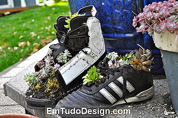 Sapatos biodegradáveis ​​que se tornam plantas