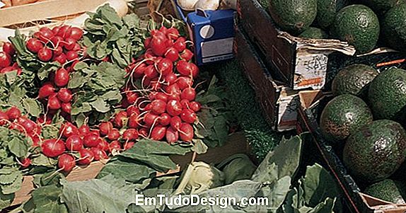 Obter sucos e frutas e vegetais centrifugados com extratores e centrífugas