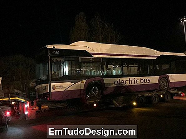 Autobuz acasă