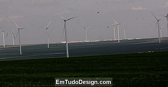 Turbine eoliene interne