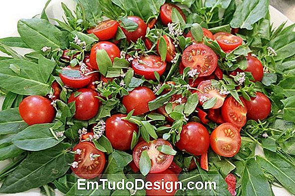 Vård av tomater