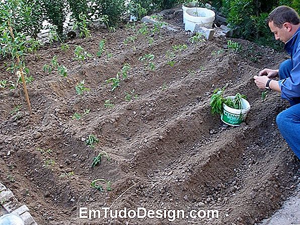 Sebze bahçesi ve bahçe su tasarrufu sulamak