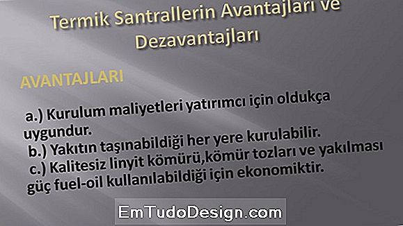 Termik santrallerin yönetiminde sorumluluk